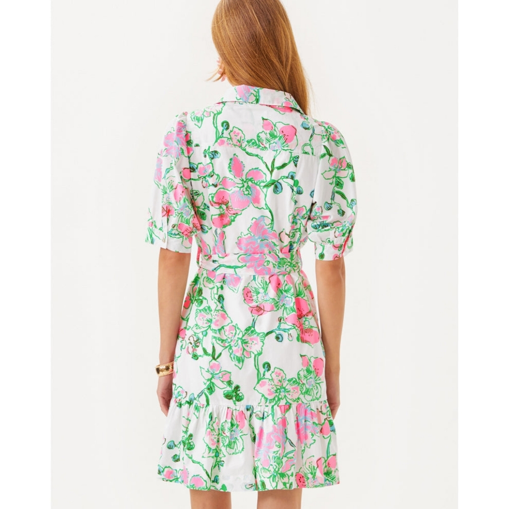 NWT Lilly Pulitzer Sashria Dress - 10 - Picture 2 of 5